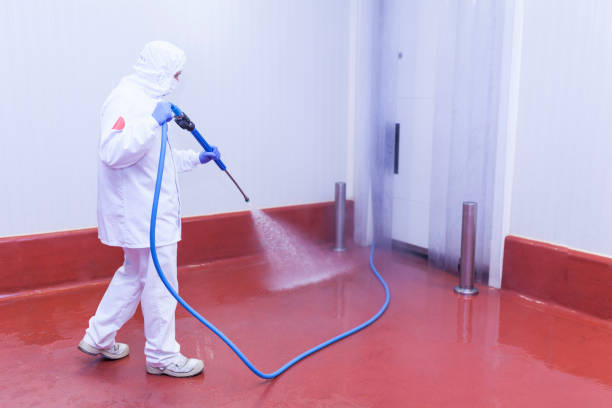 Best Concrete Sealing  in Bolingbrook, IL