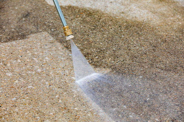 Animal Enclosure Cleaning in Bolingbrook, IL